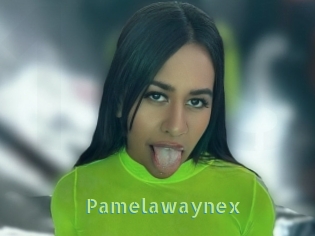 Pamelawaynex