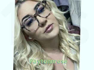 Paytonnrose