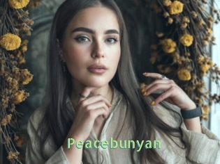 Peacebunyan