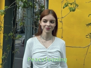 Peacefenning