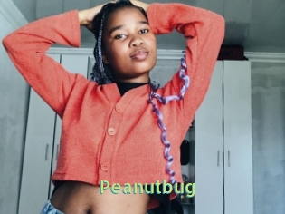 Peanutbug