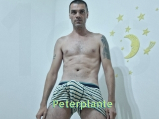 Peterplante