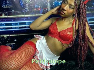 Petitsalope