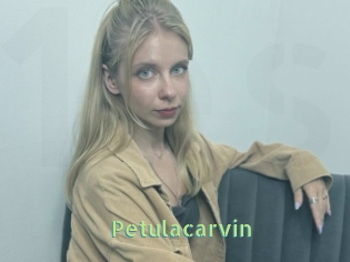 petulacarvin Une Etudiante Sexy
