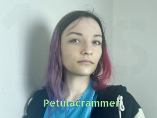 Petulacrammer