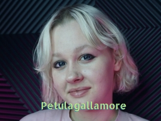 Petulagallamore
