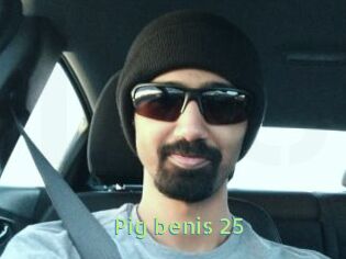 Pig_benis_25