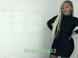 Pinkbunny22