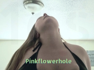 Pinkflowerhole