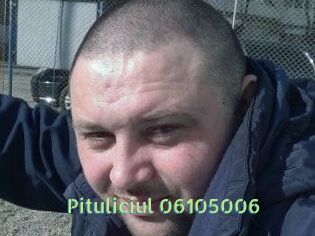 Pituliciul-06105006