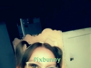 Pixbunny