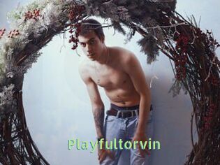 Playfultorvin