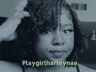 Playgirlharleynae