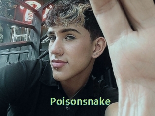 Poisonsnake