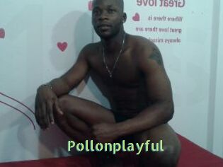 Pollonplayful