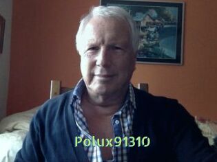 Polux91310
