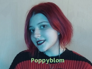 Poppyblom