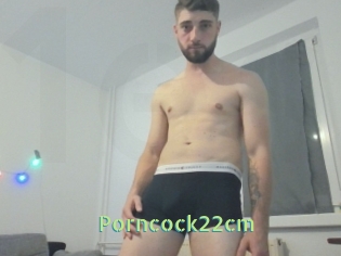 Porncock22cm