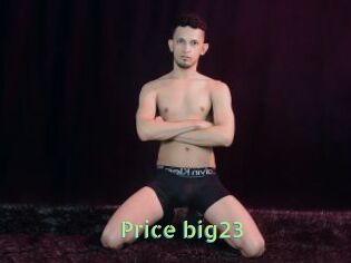 Price_big23