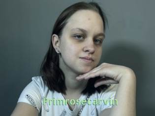 Primrosecarvin