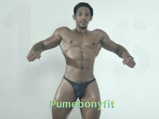 Pumebonyfit