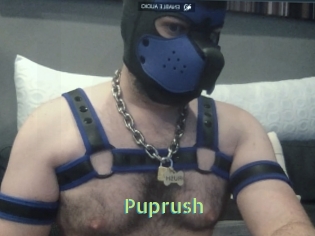 Puprush