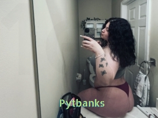 Pytbanks