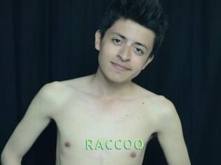 RACCOO