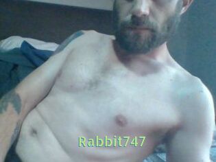 Rabbit747
