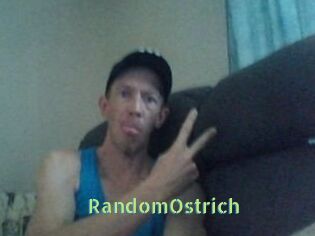 RandomOstrich