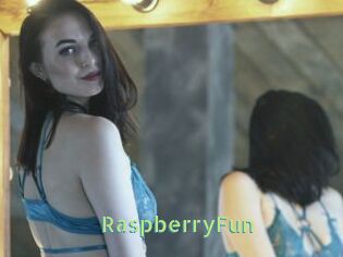 RaspberryFun