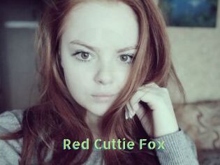 Red_Cuttie_Fox