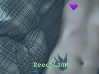 ReeceCams