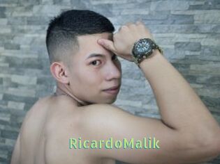 RicardoMalik