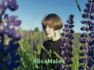 RosaMalet