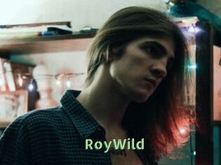 RoyWild