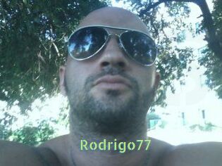 Rodrigo77