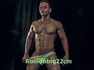 Romeobig22cm