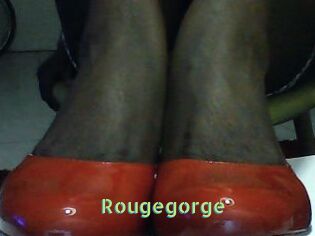 Rougegorge