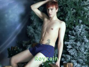 Royzein