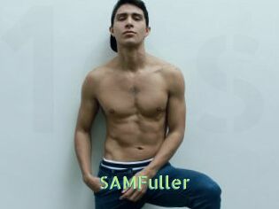 SAMFuller Une Etudiante Sexy