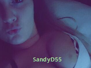 SandyD55