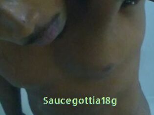 Saucegottia18g