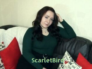 ScarletBird