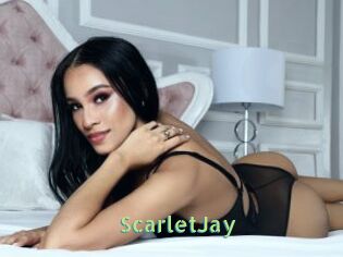 ScarletJay