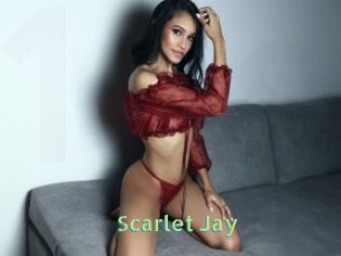 Scarlet_Jay