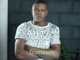 ScottBush