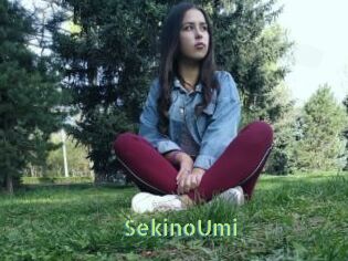 SekinoUmi