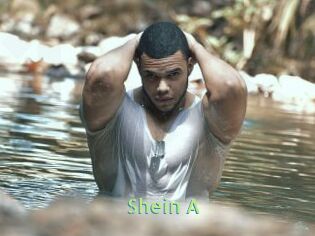 Shein_A