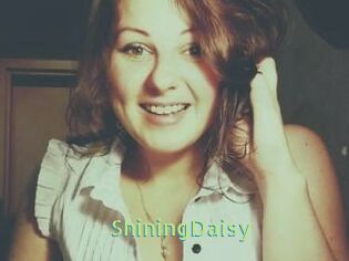 ShiningDaisy